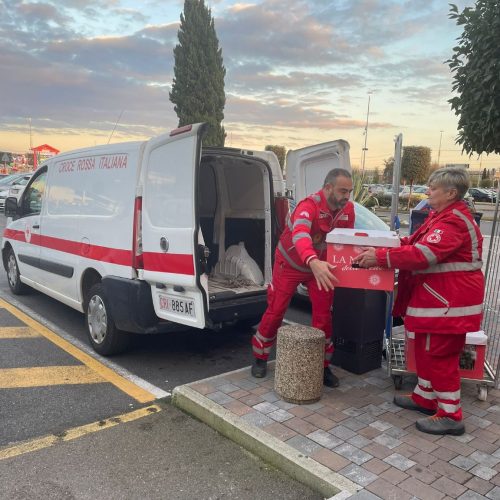 SupportoPersoneFragili